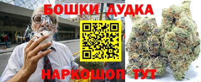 PSILOCYBIN Долгопрудный