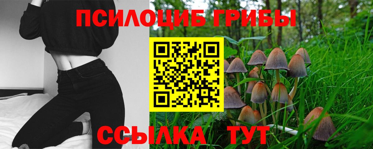 Псилоцибиновые грибы Magic Shrooms Урай
